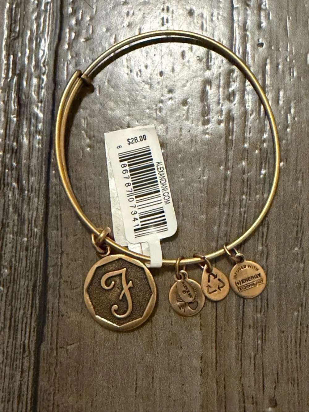 NWT Alex and Ani Script Initial 